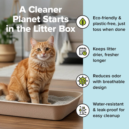 Large Cat Sifter, Eco-Friendly Litterbox with Scoop - Pack of 6